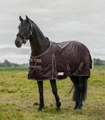 Derki dla konia - Waldhausen Derka padokowa Economic 50g 600D - maroon - miniaturka - grafika 1