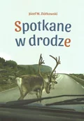 Albumy krajoznawcze - Spotkane w drodze - miniaturka - grafika 1
