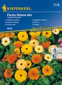 Nasiona i cebule - Nagietek lekarski Fiesta Gitana Mix - miniaturka - grafika 1