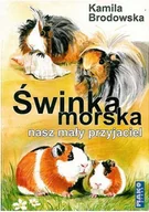 Poradniki hobbystyczne - Świnka morska nasz mały przyjaciel - miniaturka - grafika 1