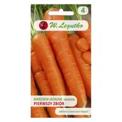 Nasiona i cebule - Marchew Jadalna Pierwszy Zbiór Nasiona 5 g - Legutko - miniaturka - grafika 1
