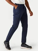 Odzież trekkingowa męska - Regatta Spodnie outdoor Dalry RMJ306 Granatowy Regular Fit - miniaturka - grafika 1