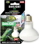 Akcesoria do terrarium - REPTILE NOVA Żarówka Grzewcza Uva - Reptile Nova Daylight 100W - miniaturka - grafika 1