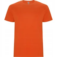 Koszulki męskie - T-shirt Męski Koszulka Męska GRUBSZA BAWEŁNA ROLY 6681 ORANGE L - miniaturka - grafika 1