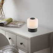 Lampy stojące - Paul Neuhaus Lampa stołowa ciemnoszara z 3-stopniowym ściemnianiem LED za pomocą dotyku - Mirko - miniaturka - grafika 1