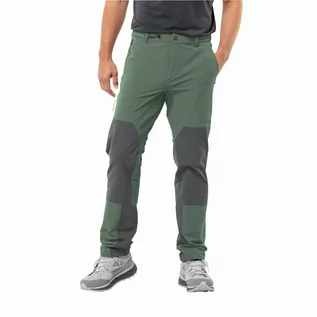 Spodnie sportowe męskie - Męskie spodnie trekkingowe Jack Wolfskin ANDUR PANTS M hedge green - 46 - grafika 1
