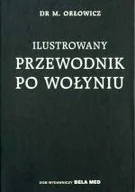 Przewodniki - Ilustrowany przewodnik po Wołyniu - miniaturka - grafika 1