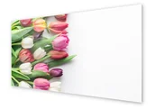 Dekoracje domu - Panel kuchenny HOMEPRINT Kolorowe tulipany 125x50 cm - miniaturka - grafika 1