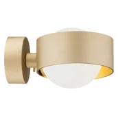 Lampy ścienne - Kinkiet MASSIMO PLUS 8567 - Argon - miniaturka - grafika 1