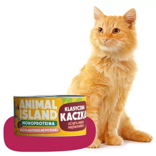 Animal Island karma mokra dla kota - kaczka 100g - Mokra karma dla kotów Animal Island karma mokra dla kota - kaczka 100g - Mokra karma dla kotów - miniaturka - grafika 1