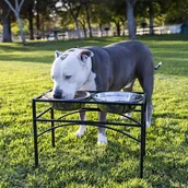 Inne - TEMU Miska dla psa z podstawką, stacja karmienia, miska dla psa, miski dla psów ze stojakiem, rozmiar M 42*22*27CM - miniaturka - grafika 1