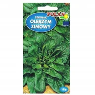 Nasiona i cebule - Polan Szpinak olbrzymi zimowy Spinacia oleracea 10g - miniaturka - grafika 1