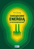 Zarządzanie - Wydawnictwo Naukowe PWN Zarządzanie energią w przedsiębiorstwie - Oung Kit - miniaturka - grafika 1