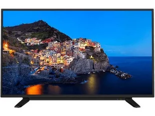 Telewizor Toshiba 24WL1A63DG Czarny - Telewizory - miniaturka - grafika 1