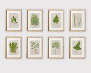 Plakaty - Zestaw 8 botanicznych ilustracji A4 - miniaturka - grafika 1