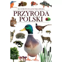 Arti Przyroda Polski