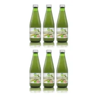 Soki i napoje niegazowane - Bio Food Sok z pietruszki kiszonej nfc Zestaw 6 x 300 ml Bio - miniaturka - grafika 1