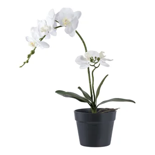 House Nordic Sztuczna roślina orchidea, zielona/biała 49 cm - Sztuczne kwiaty - miniaturka - grafika 1