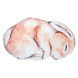 Poduszeczka Rabbit, BabySteps duża - Kołdry i poduszki dla dzieci - miniaturka - grafika 1