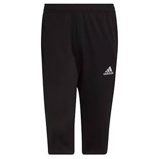 adidas Spodnie męskie 3/4. Ent22 3/4 PNT - Spodnie męskie - miniaturka - grafika 1