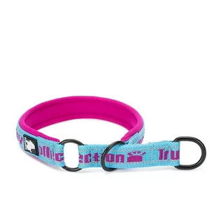 dr Seidla półzaciskowa dla psa Labrador Truelove XL - Smycze dla psów - miniaturka - grafika 1