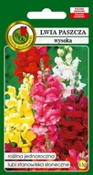 Nasiona i cebule - Lwia Paszcza Wysoka Mieszana 0.5 g PNOS - miniaturka - grafika 1