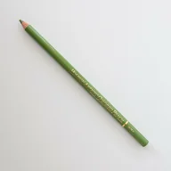 Kredki, ołówki, pastele i pisaki - Kredka HOLBEIN Artists Olive Green OP189 - miniaturka - grafika 1