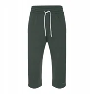 Spodenki męskie - Spodenki dresowe męskie / NARVIN CAMPUS L khaki - miniaturka - grafika 1