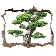 Naklejki na ścianę - Samoprzylepna dziura 3d Drzewo bonsai 120x81, Tulup - miniaturka - grafika 1
