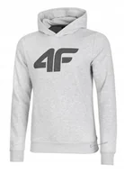 Bluzy męskie - 4F OCIEPLANA MÄSKA BLUZA DRESOWA Z KAPTUREM KANGURKA / rozm XXL - miniaturka - grafika 1