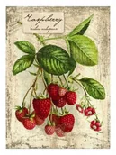 Podkładki pod mysz - PODKŁADKA POD MYSZ Z Nadrukiem 22x18 cm Warzywa Owoce Tekst Prezent - miniaturka - grafika 1