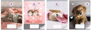 Beniamin, Zeszyt A5, 16 kartek, kratka - Zeszyty szkolne - miniaturka - grafika 1