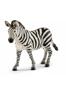 Klacz zebry - Albumy krajoznawcze - miniaturka - grafika 1