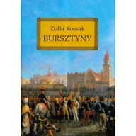 Lektury szkoła podstawowa - Bursztyny Zofia Kossak - miniaturka - grafika 1