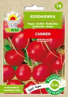 Nasiona i cebule - Toraf Rzodkiewka Carmen nasiona warzyw na taśmie 6m 00259 - miniaturka - grafika 1