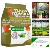 Nasiona i cebule - Trawa Uniwersalna Nasina Odporna na Deptanie Samozagęszczająca 5kg Trawnik - miniaturka - grafika 1