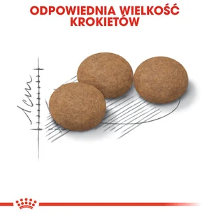 ROYAL CANIN Ageing Sterilised +12 2kg + niespodzianka dla kota GRATIS! - Sucha karma dla kotów - miniaturka - grafika 8