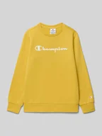 Swetry dla chłopców - Bluza z nadrukiem z logo - miniaturka - grafika 1