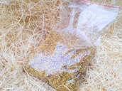 Miód - Pyłek pszczeli / kwiatowy 0,5kg tegoroczny - miniaturka - grafika 1