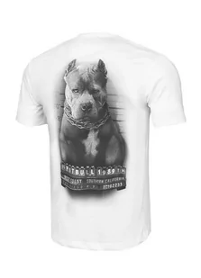 Pit Bull T-Shirt Mugshot II White - Koszulki sportowe męskie - miniaturka - grafika 1