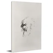 Książki o kulturze i sztuce - Sztukmistrz Norwid rysunki Nowa - miniaturka - grafika 1