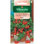 Nasiona i cebule - Pomidor gruntowy karłowy, koktajlowy, balkonowy nasiona BAJAJA VILMORIN 0,5 g - miniaturka - grafika 1