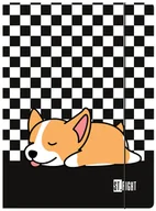 Teczki i skoroszyty - TECZKA Z GUMKĄ A4 Unipap, ST.RIGHT SLEEPY CORGI szachownica - miniaturka - grafika 1