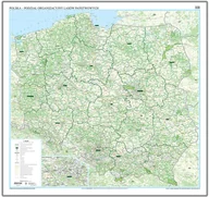 Mapy i plansze edukacyjne - EkoGraf, Polska - podział organizacyjny Lasów Państwowych mapa ścienna na podkładzie w drewnianej ramie, 1:500 000 - miniaturka - grafika 1