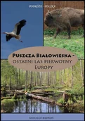 E-booki - przewodniki - Puszcza Białowieska. Ostatni las pierwotny Europy - miniaturka - grafika 1