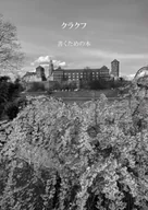 Przewodniki - Kraków. Książki do pisania wer. japońska - Lidia Rozmus - miniaturka - grafika 1