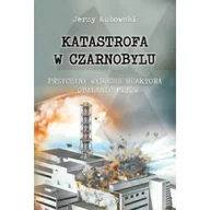 Felietony i reportaże - Poligraf Katastrofa w Czarnobylu - Jerzy Kubowski - miniaturka - grafika 1