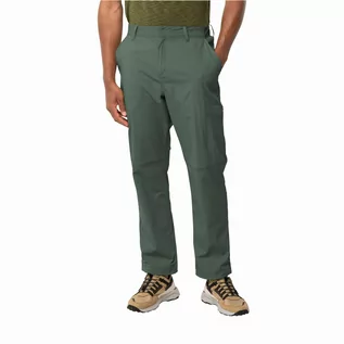 Spodnie sportowe męskie - Męskie spodnie outdoor Jack Wolfskin WANDERTHIRST PANTS M hedge green - 50S - grafika 1