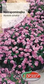 Nasiona i cebule - Nasiona Niezapominajka różowa 0,3g - Torseed - miniaturka - grafika 1