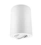 Lampy sufitowe - Superled Valse lampa sufitowa tuba kierunkowa biała 6319sl - miniaturka - grafika 1